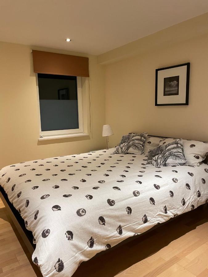 Modern Apartment In Central London By River Thames エクステリア 写真
